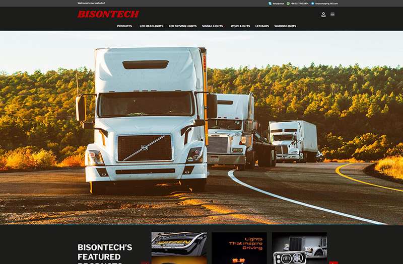 外貿網(wǎng)站建設案例